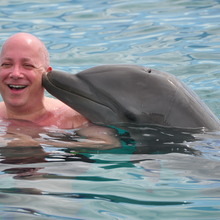 Swimming with dolphins - 1 (5).large